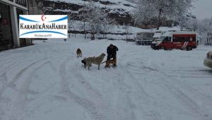 Onlar itfaiyenin neşe kaynakları