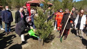 Bu fidanlar şehitlerin adıyla büyüyecek