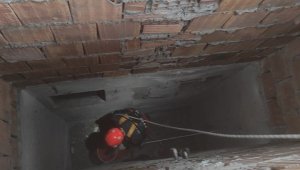 İki gündür havalandırma boşluğunda mahsur kalan kediyi itfaiye kurtardı