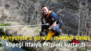 Kanyonda 2 gündür mahsur kalan köpeği itfaiye ekipleri kurtardı