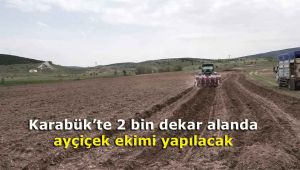 Karabük'te 2 bin dekar alanda ayçiçek ekimi yapılacak