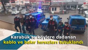 Karabük'te köylere dadanan kablo ve bakır hırsızları tutuklandı