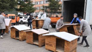 Lise öğrenciler can dostları için atıl ürünlerden köpek kulübeleri yaptı