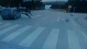 Yolun karşısına geçerken yaşadığı kararsızlık canından ediyordu