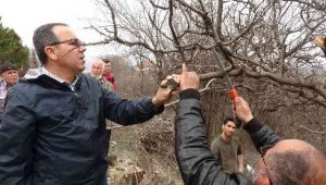 Karabük'te yetiştirilecek fıstık, köylüler için gelir kaynağı olacak