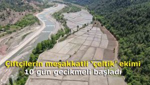 Çiftçilerin meşakkatli 'çeltik' ekimi 10 gün gecikmeli başladı