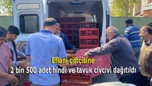 Eflani çiftçisine 2 bin 500 adet hindi ve tavuk civcivi dağıtıldı