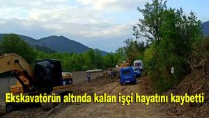 Ekskavatörün altında kalan işçi hayatını kaybetti