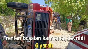 Frenleri boşalan kamyonet devrildi: 6 yaralı