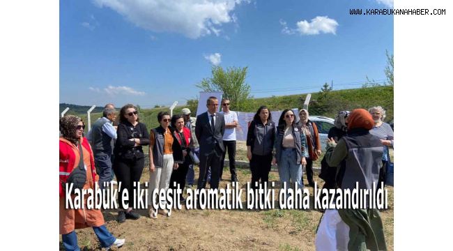 Karabük'e iki çeşit aromatik bitki daha kazandırıldı