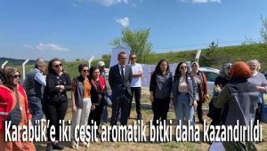 Karabük'e iki çeşit aromatik bitki daha kazandırıldı