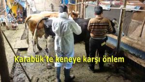 Karabük'te keneye karşı önlem
