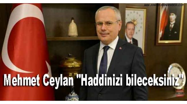 Mehmet Ceylan