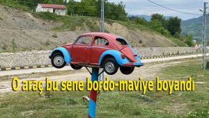 O araç bu sene bordo-maviye boyandı
