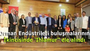 Orman Endüstrileri buluşmalarının İkincisinde 'Ihlamur