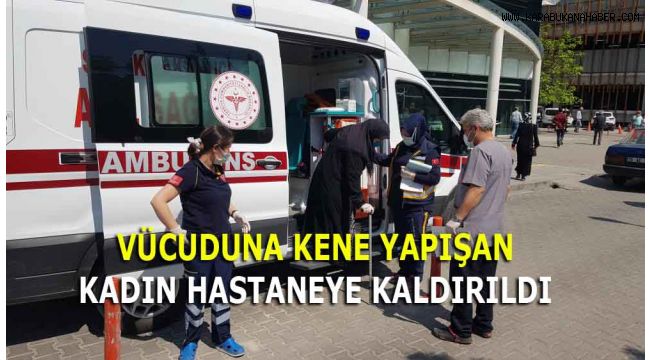 VÜCUDUNA KENE YAPIŞAN KADIN HASTANEYE KALDIRILDI