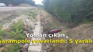 Yoldan çıkan otomobil şarampole yuvarlandı: 5 yaralı