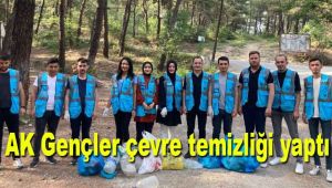 AK Gençler çevre temizliği yaptı