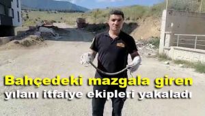 Bahçedeki mazgala giren yılanı itfaiye ekipleri yakaladı