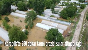Karabük'te 250 dekar tarım arazisi sular altında kaldı