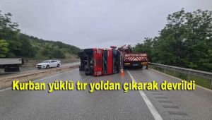 Kurban yüklü tır yoldan çıkarak devrildi
