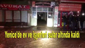 Yenice'de ev ve işyerleri sular altında kaldı