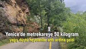 Yenice'de metrekareye 50 kilogram yağış düştü, heyelanlar ardı ardına geldi