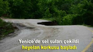 Yenice'de sel suları çekildi, heyelan korkusu başladı