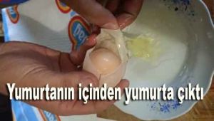 Yumurtanın içinden yumurta çıktı