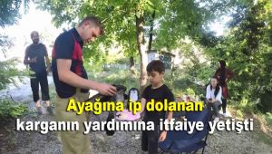 Ayağına ip dolanan karganın yardımına itfaiye yetişti