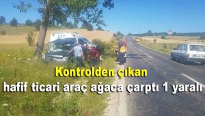 Kontrolden çıkan hafif ticari araç ağaca çarptı: 1 yaralı