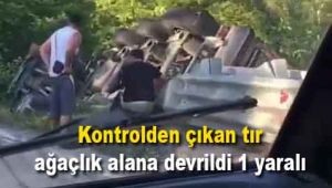 Kontrolden çıkan tır ağaçlık alana devrildi: 1 yaralı