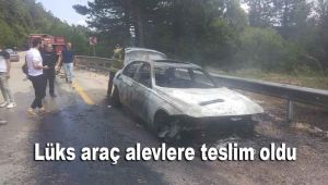Lüks araç alevlere teslim oldu