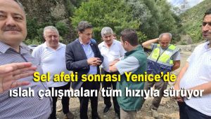 Sel afeti sonrası Yenice'de ıslah çalışmaları tüm hızıyla sürüyor