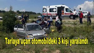 Tarlaya uçan otomobildeki 3 kişi yaralandı