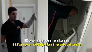 Eve giren yılanı itfaiye ekipleri yakaladı