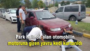 Günlerdir park halinde olan otomobilin motoruna giren yavru kedi kurtarıldı