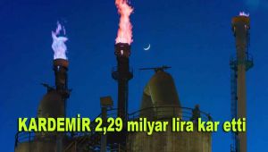 KARDEMİR 2,29 milyar lira kar etti