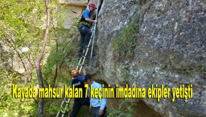 Kayada mahsur kalan 7 keçinin imdadına ekipler yetişti