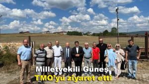 Milletvekili Güneş, TMO'yu ziyaret etti