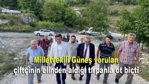 Milletvekili Güneş, yorulan çiftçinin elinden aldığı tırpanla ot biçti