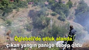 Öğlebeli'de otluk alanda çıkan yangın paniğe sebep oldu