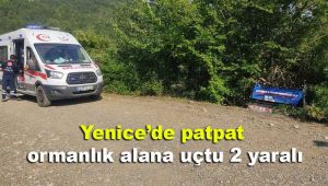 Yenice'de patpat ormanlık alana uçtu: 2 yaralı