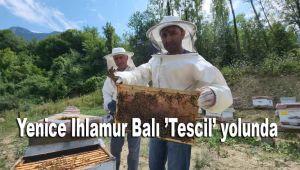 Yenice Ihlamur Balı 'Tescil' yolunda