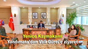Yenice Kaymakamı Yandımata'dan Vali Gürel'e ziyaret