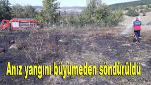 Anız yangını büyümeden söndürüldü