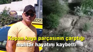 Kopan kaya parçasının çarptığı muhtar hayatını kaybetti