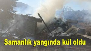 Samanlık yangında kül oldu