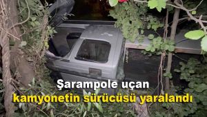 Şarampole uçan kamyonetin sürücüsü yaralandı