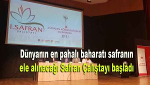 Dünyanın en pahalı baharatı safranın ele alınacağı Safran Çalıştayı başladı